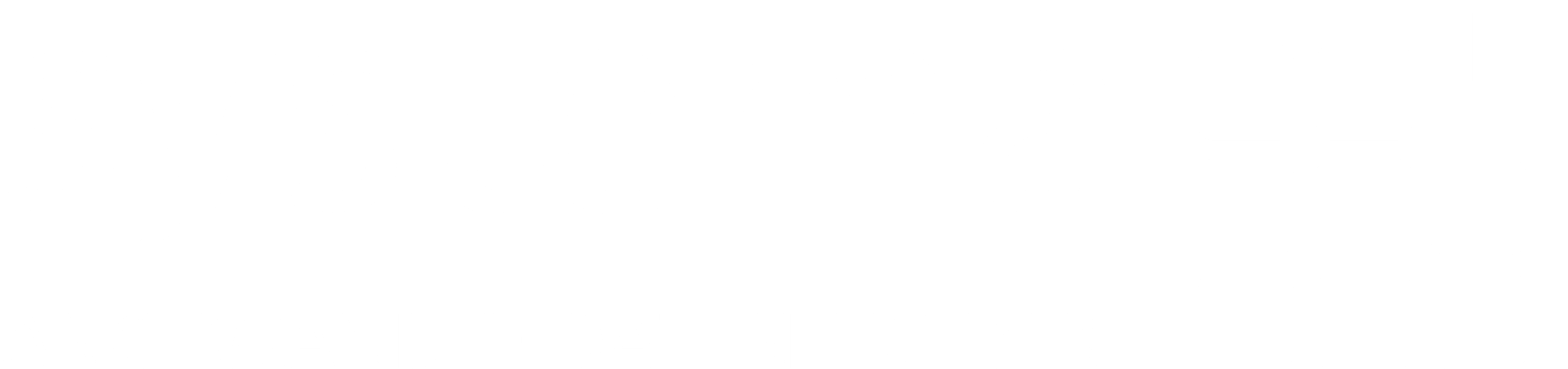 logo_systema_weiß